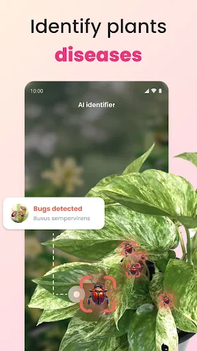 PlantIn plantes reconnaissance screenshot