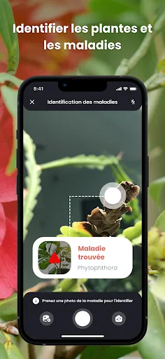PlantIn plantes reconnaissance screenshot