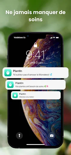 PlantIn plantes reconnaissance screenshot