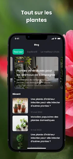 PlantIn plantes reconnaissance screenshot