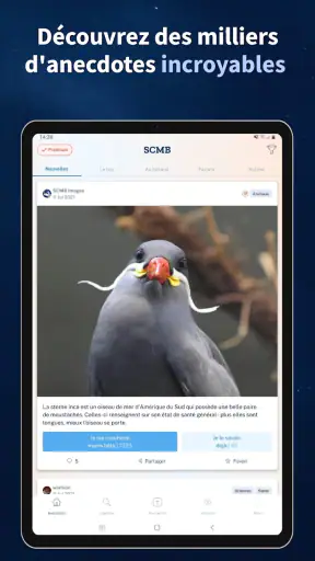 Se Coucher Moins Bête screenshot