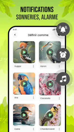 Sons d'oiseaux screenshot