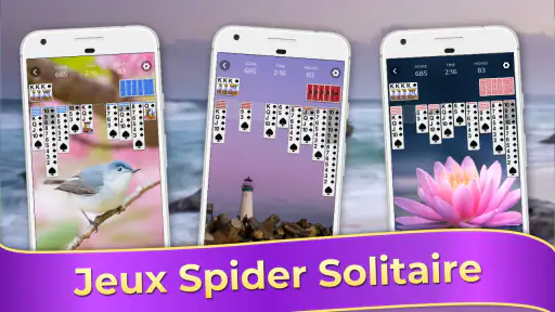 Spider Solitaire Jeu de cartes screenshot