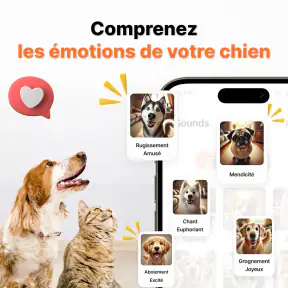 Traducteur De Langue Humain screenshot