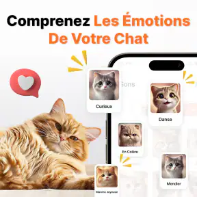 Traduire Humain En Chat screenshot