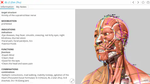 Visual Acupuncture 3D screenshot
