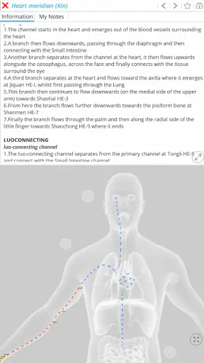 Visual Acupuncture 3D screenshot