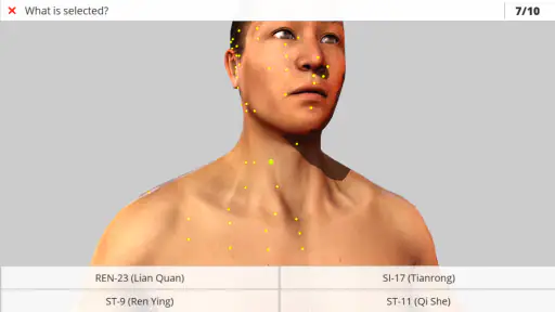 Visual Acupuncture 3D screenshot