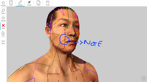 Visual Acupuncture 3D screenshot