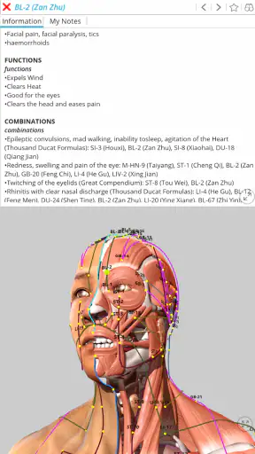Visual Acupuncture 3D screenshot
