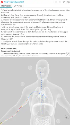 Visual Acupuncture 3D screenshot
