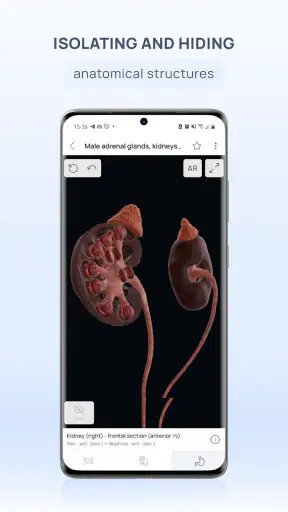 VOKA 3D Anatomy and Physiology screenshot