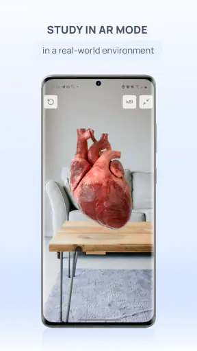VOKA 3D Anatomy and Physiology screenshot