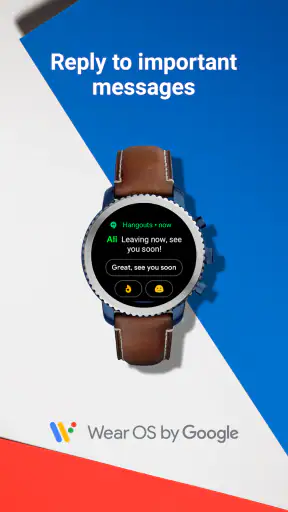 Wear OS by Google screenshot