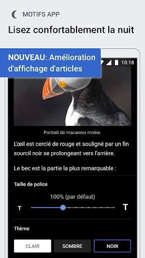 Wikipédia screenshot