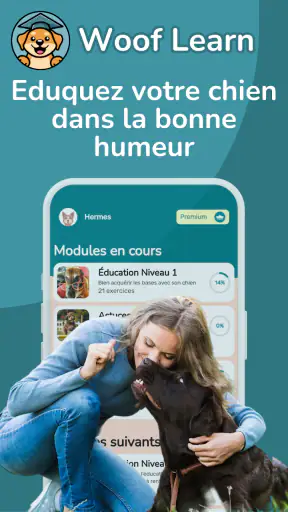 Woof Learn - Education chien screenshot