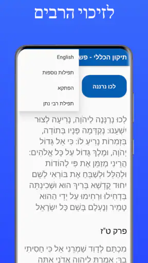 תיקון הכללי - פשוט ונוח screenshot