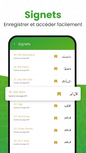 القرأن الكريم - Al Coran screenshot