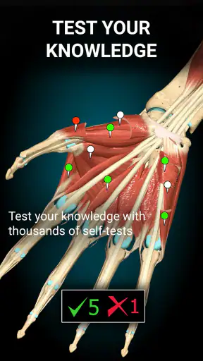 Anatomy Learning - 3D Anatomy screenshot