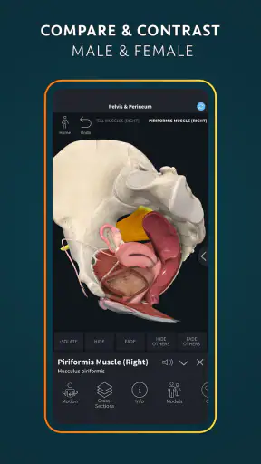 Complete Anatomy - Learn in 3D screenshot