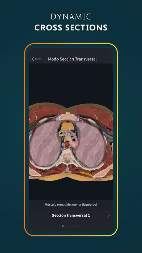 Complete Anatomy - Learn in 3D screenshot