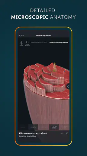 Complete Anatomy - Learn in 3D screenshot