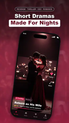 CrimsonVault: Night Drama screenshot