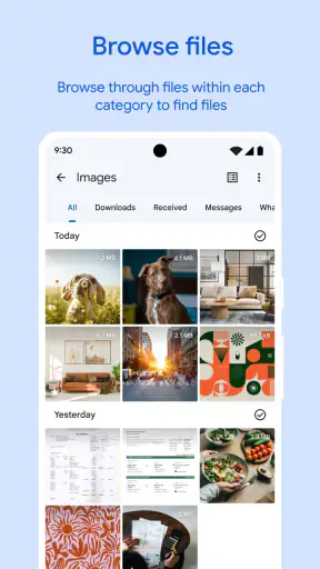 Files by Google screenshot