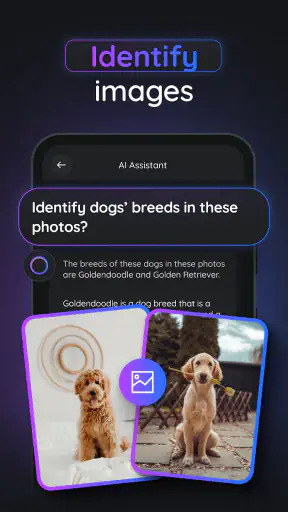AI Chatbot & Assistant - Jimmy screenshot