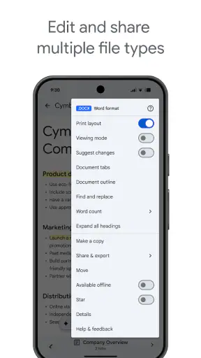Google Docs screenshot