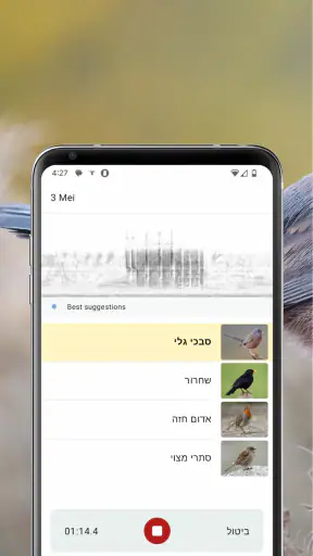 Merlin Bird ID - מעבדת קורנל screenshot