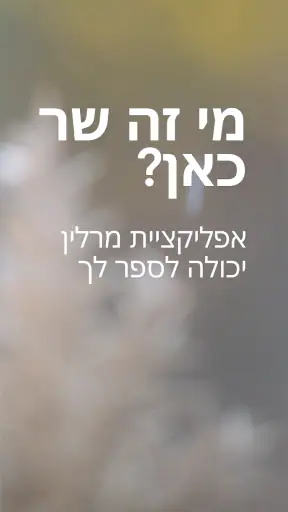 Merlin Bird ID - מעבדת קורנל screenshot