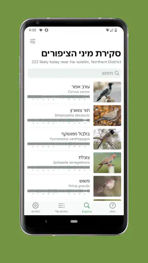 Merlin Bird ID - מעבדת קורנל screenshot