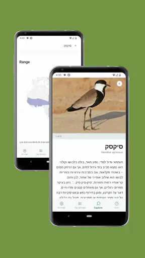 Merlin Bird ID - מעבדת קורנל screenshot