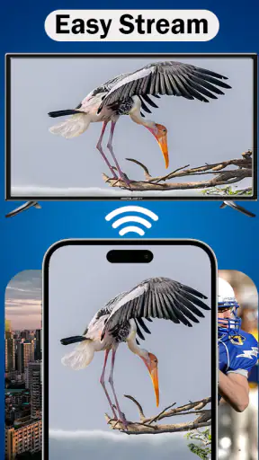 MirrorLink App for Car screenshot