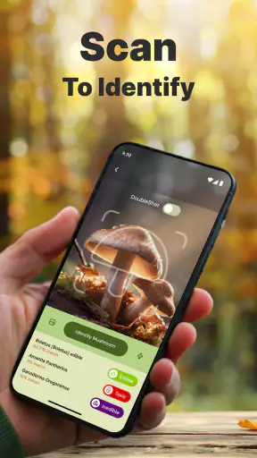 Mushroom Identification screenshot