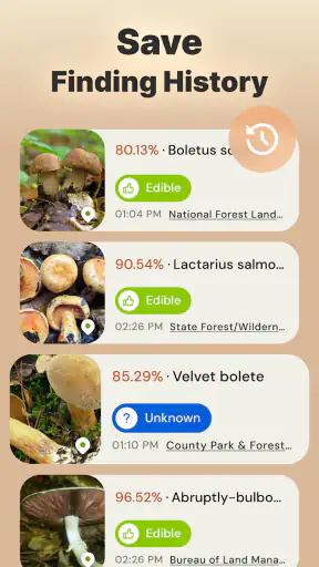 Mushroom Identification screenshot