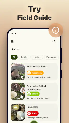 Mushroom Identification screenshot