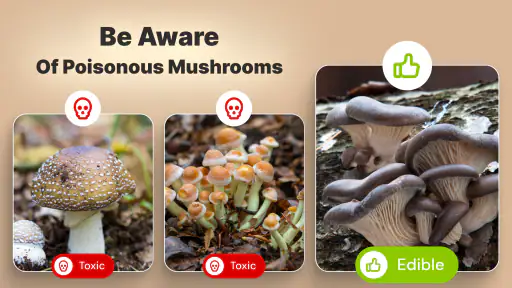 Mushroom Identification screenshot