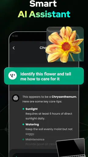 Open Chat - AI bot app screenshot