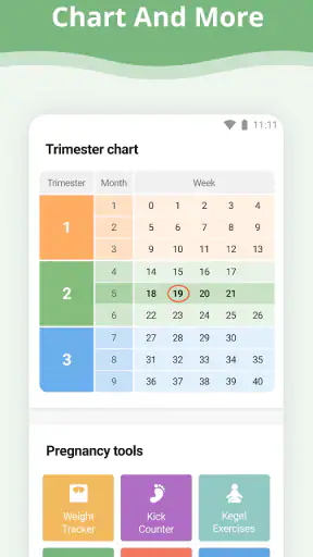 Pregnancy App screenshot