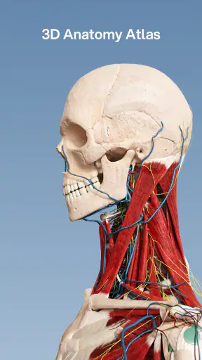 VOKA 3D Anatomy & Pathology screenshot