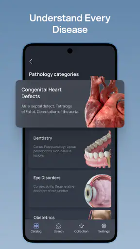 VOKA 3D Anatomy & Pathology screenshot