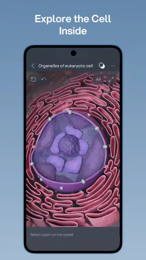 VOKA 3D Anatomy & Pathology screenshot