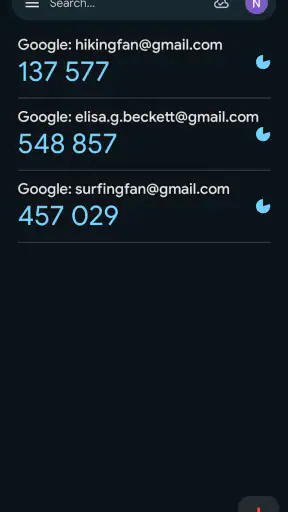 מאמת החשבונות של Google screenshot