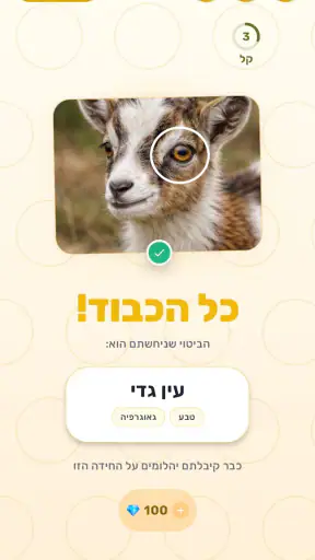 מטבעות לשון: חידות ביטויים screenshot