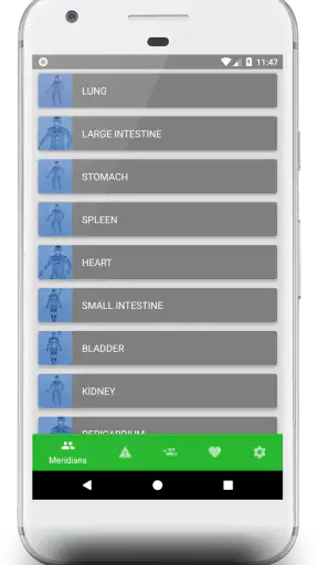 AcuPoint - Acupuntura screenshot