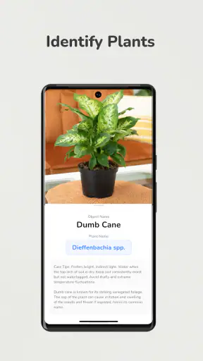 AI Object Detection screenshot