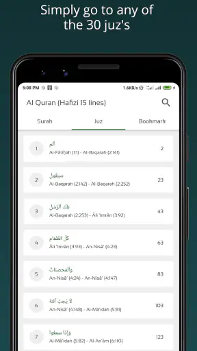 Al Quran 3D (Hafizi 15 lines) screenshot