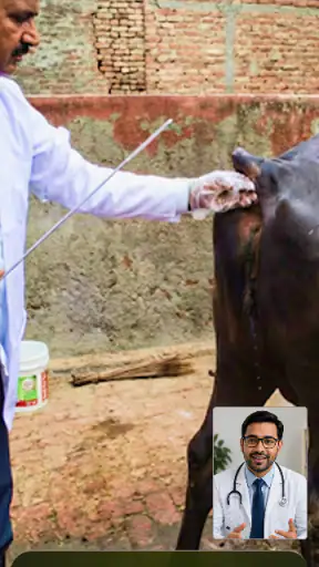 Animall Bhai screenshot